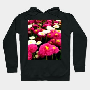 Pretty Pink and White Daisies Hoodie